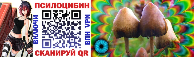 Псилоцибиновые грибы мухоморы  KRAKEN ссылки  Рошаль 
